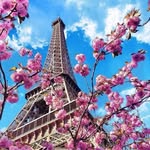 Estetic Clinic логотип